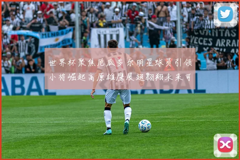 世界杯聚焦厄瓜多尔明星球员引领小将崛起高原雄鹰展翅翱翔未来可期