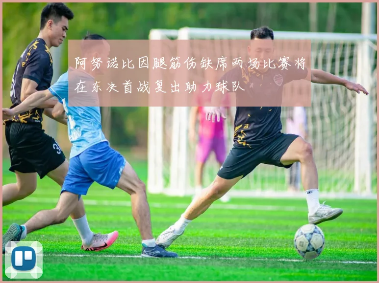 阿努诺比因腿筋伤缺席两场比赛将在东决首战复出助力球队