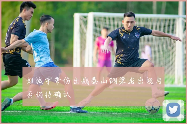 刘诚宇带伤出战泰山铜梁龙出场与否仍待确认