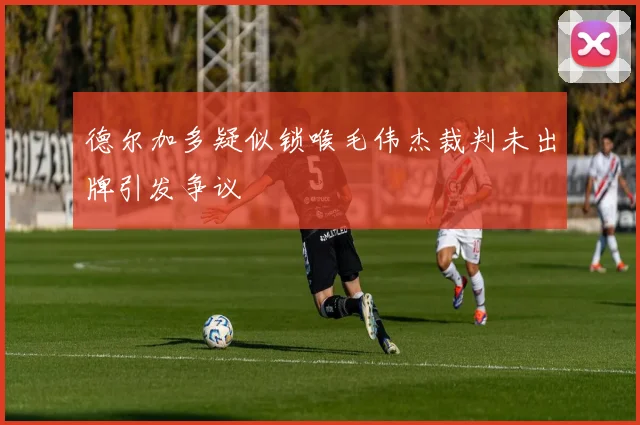 德尔加多疑似锁喉毛伟杰裁判未出牌引发争议