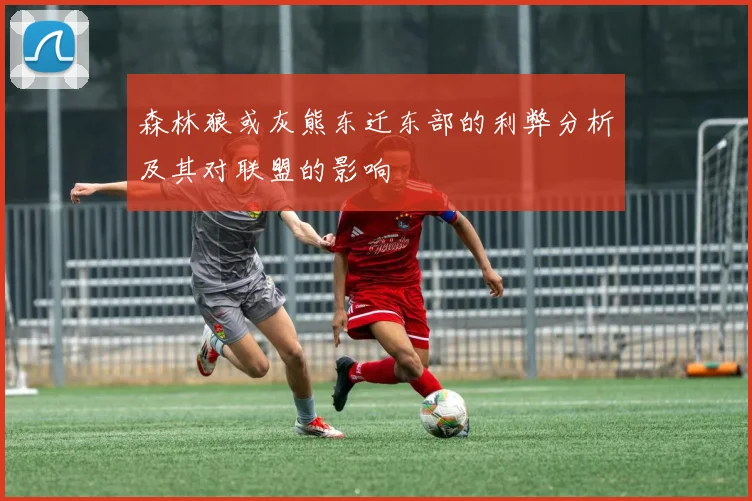 森林狼或灰熊东迁东部的利弊分析及其对联盟的影响